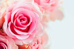 Load image into Gallery viewer, Fresh Cut Rose Fragrance Oil By Crafter&#39;s Choice