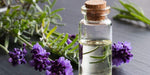 Load image into Gallery viewer, Lavender Liquid Extract- 100% Natural (Standardized)
