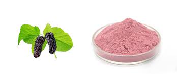 Mulberry Fruit Extract- Light Pink"